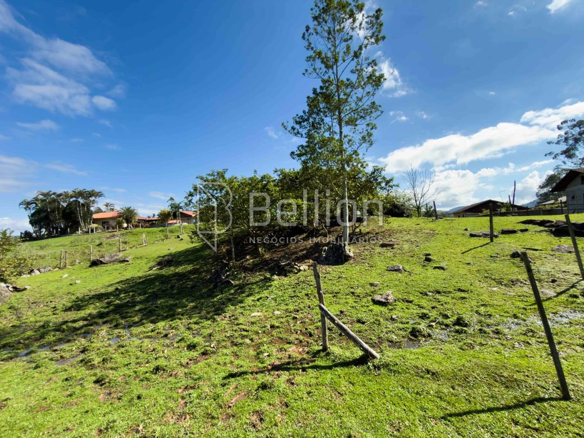 Terreno, 4217 m² - Foto 6