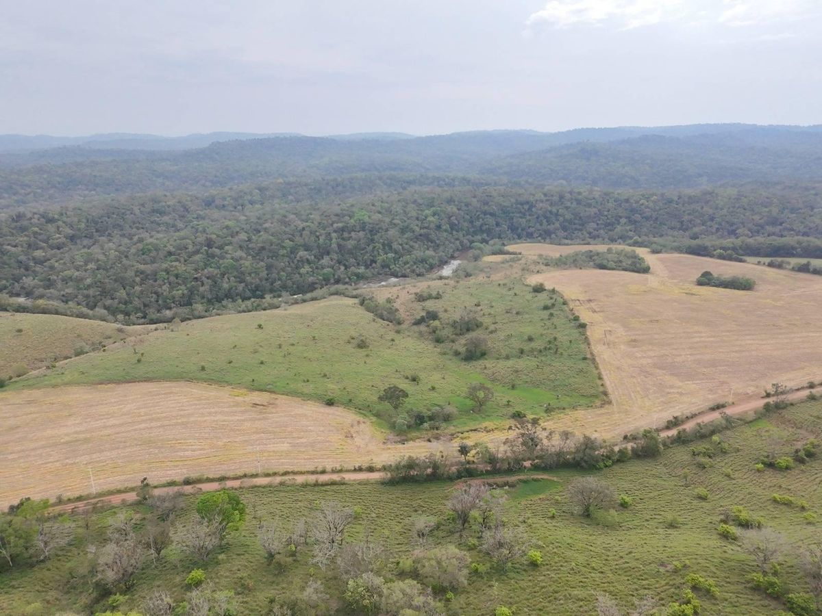 Área rural de aproximadamente 65 Alqueires - Fazenda em Capitão Leônidas Marques - à venda - Terrenos Cascavel LTDA