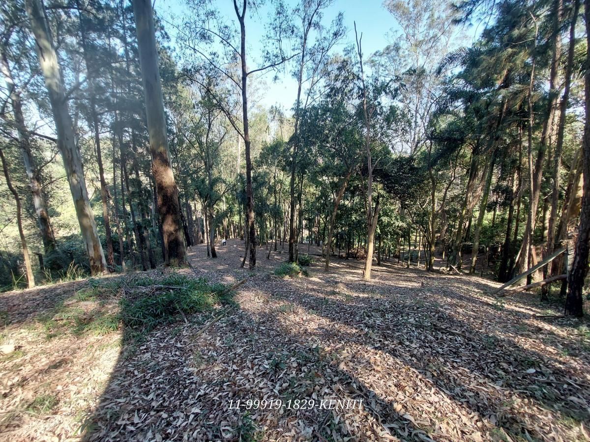 Sítio, 5 quartos, 1 hectares - Foto 10