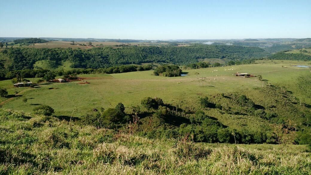 FAZENDA COM 90 ALQUEIRES EM GUARANIAÇU- PR - Fazenda em Guaraniaçu - à venda - Terrenos Cascavel LTDA