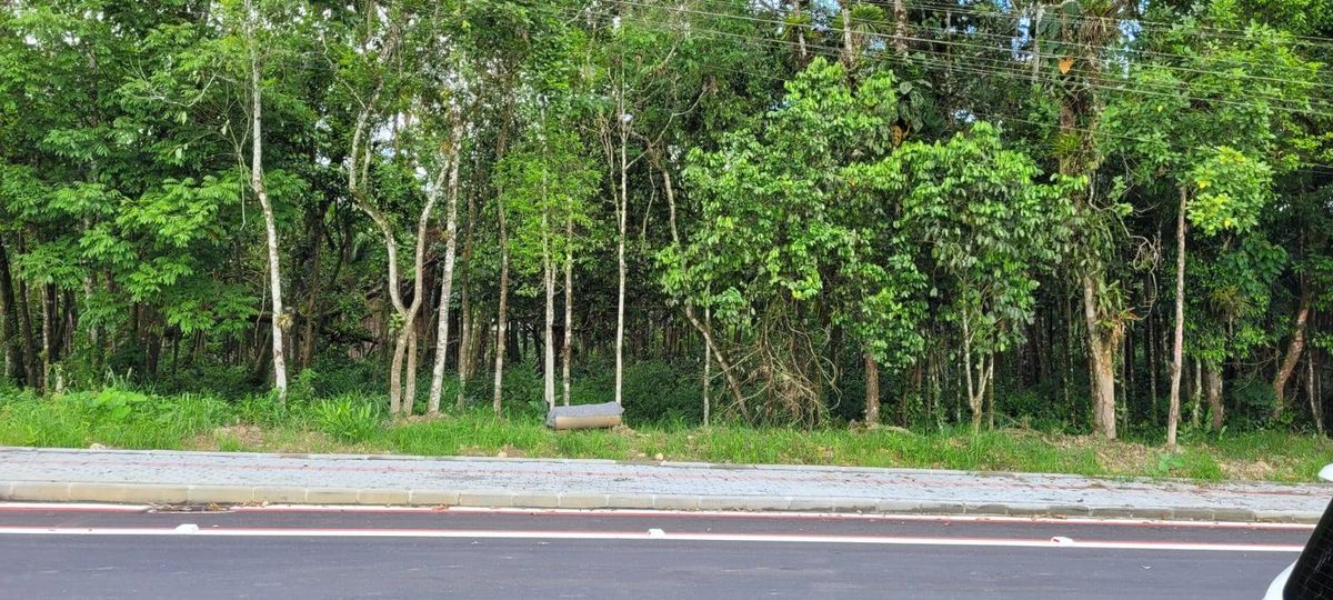 Terreno de 1.860,00m² - Lote/Terreno em Sossego, Schroeder - à venda - SONHO D`LAR IMOVEIS LTDA