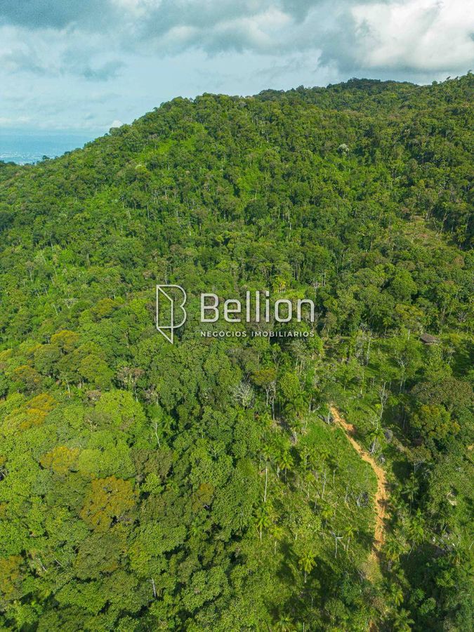 Sítio com 270.000m² no Bairro Tiroleses, Timbó
