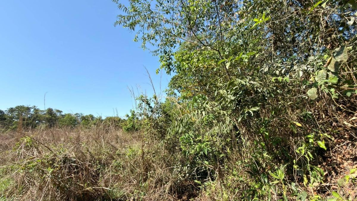 Chácara em Zona Rural, Sorriso