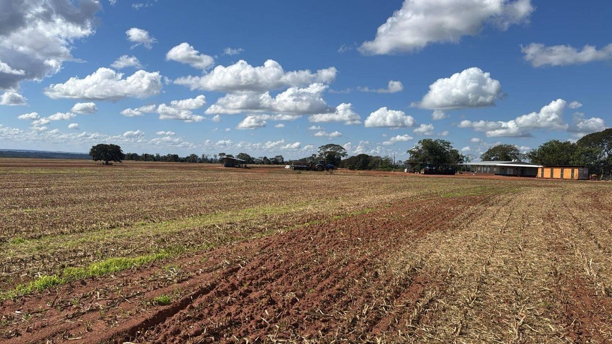 Fazenda - 2.880 hectares - Fazenda em Serranópolis - à venda - Rural Urbano Imóveis