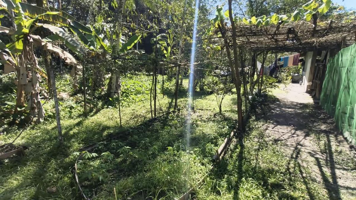 CH497 - Chácara em São Fernando, Itanhaém - Chácara em São Fernando, Itanhaém - à venda - FPX Imóveis LTDA
