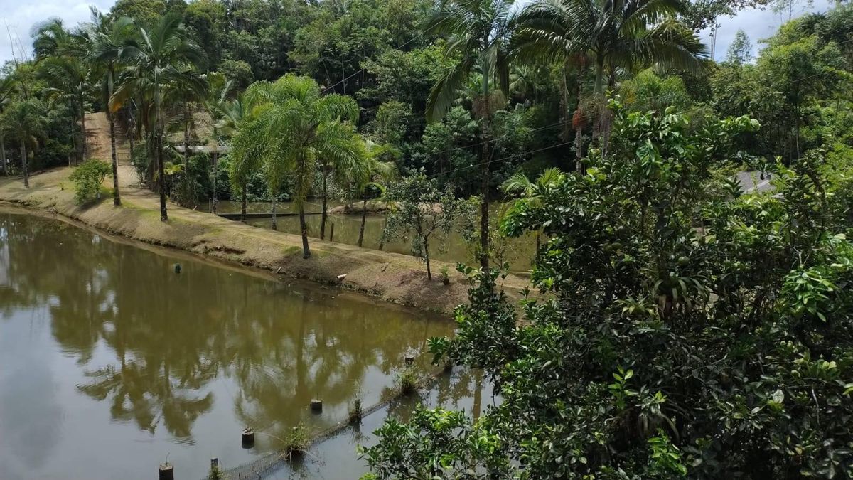 CHÁCARA COM 55 MIL m² DE ÁREA, GUAMIRANGA - Chácara em Guamiranga, Guaramirim - à venda - IMOB Imóveis