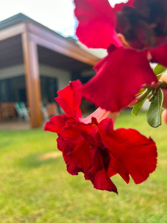 Casa com 3 quartos, Florais Da Mata - Sorriso - Casa em Florais Da Mata, Sorriso - à venda - VIVABEM BRASIL IMOVEIS E LOCACOES LTDA
