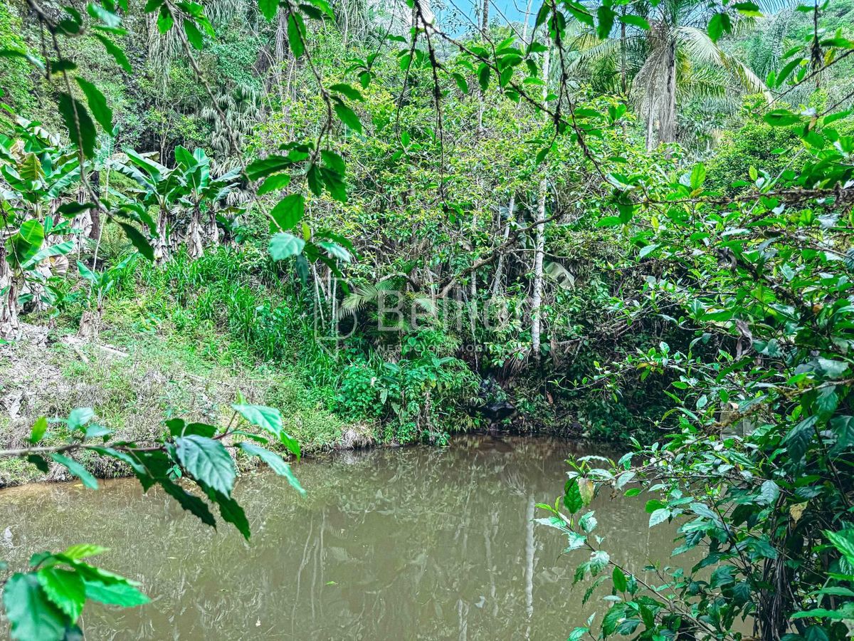 Sítio, 9 quartos, 13 hectares - Foto 46