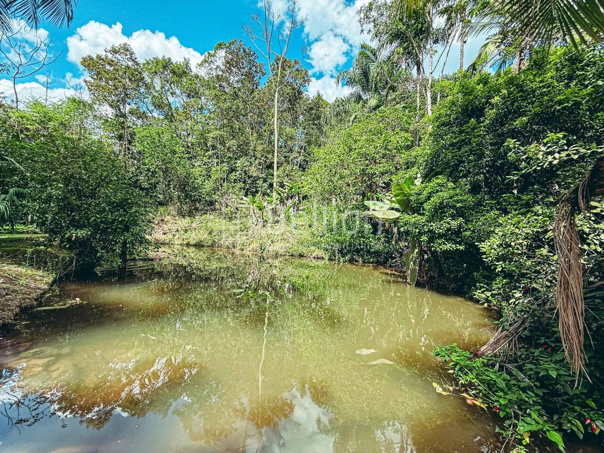 Sítio, 9 quartos, 13 hectares - Foto 44