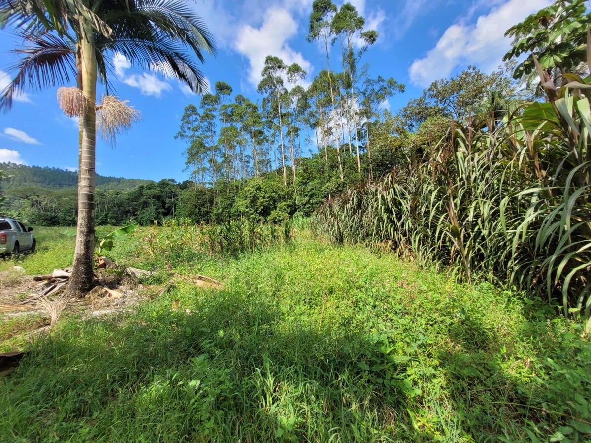 Terreno no bairro Rancho Bom - Lote/Terreno em Rancho Bom, Schroeder - à venda - SONHO D`LAR IMOVEIS LTDA