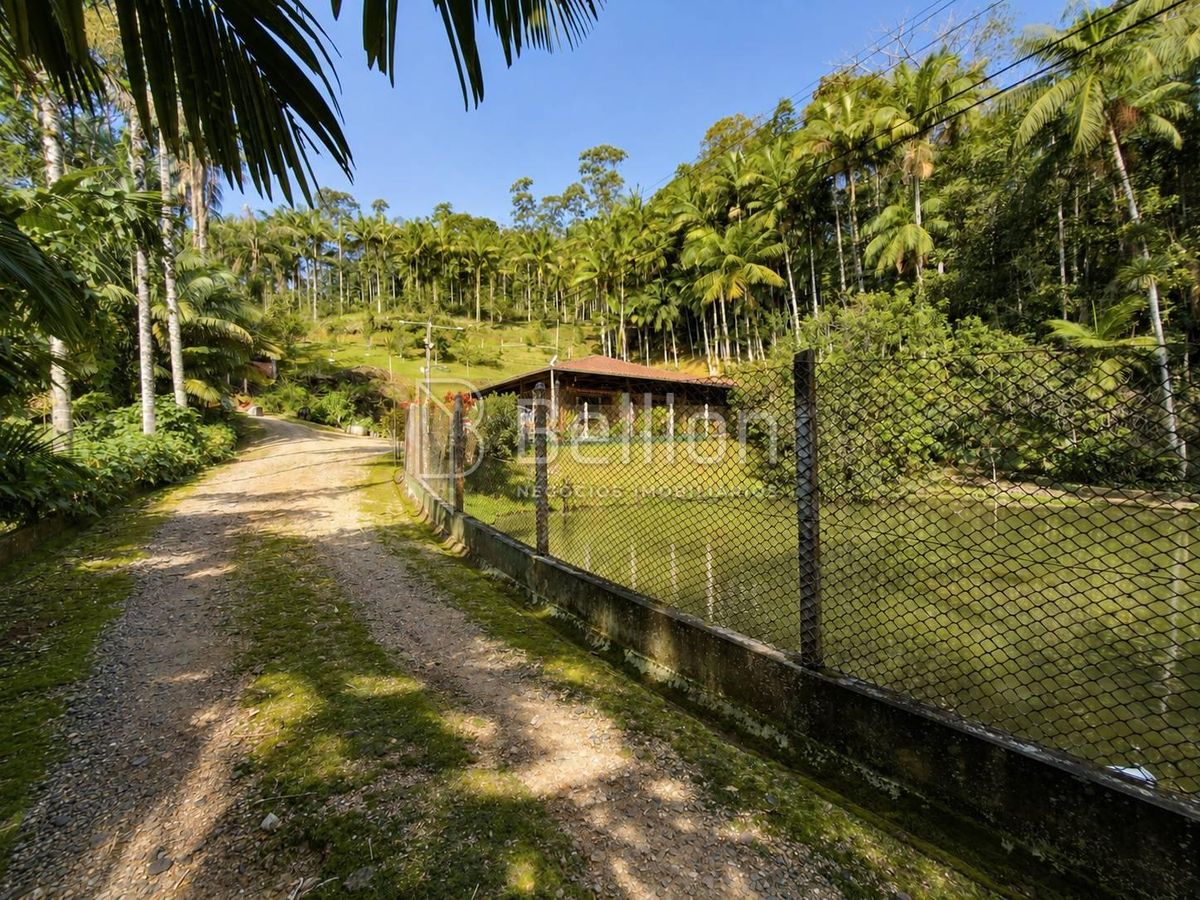 Sítio, 4 quartos, 200 m² - Foto 6