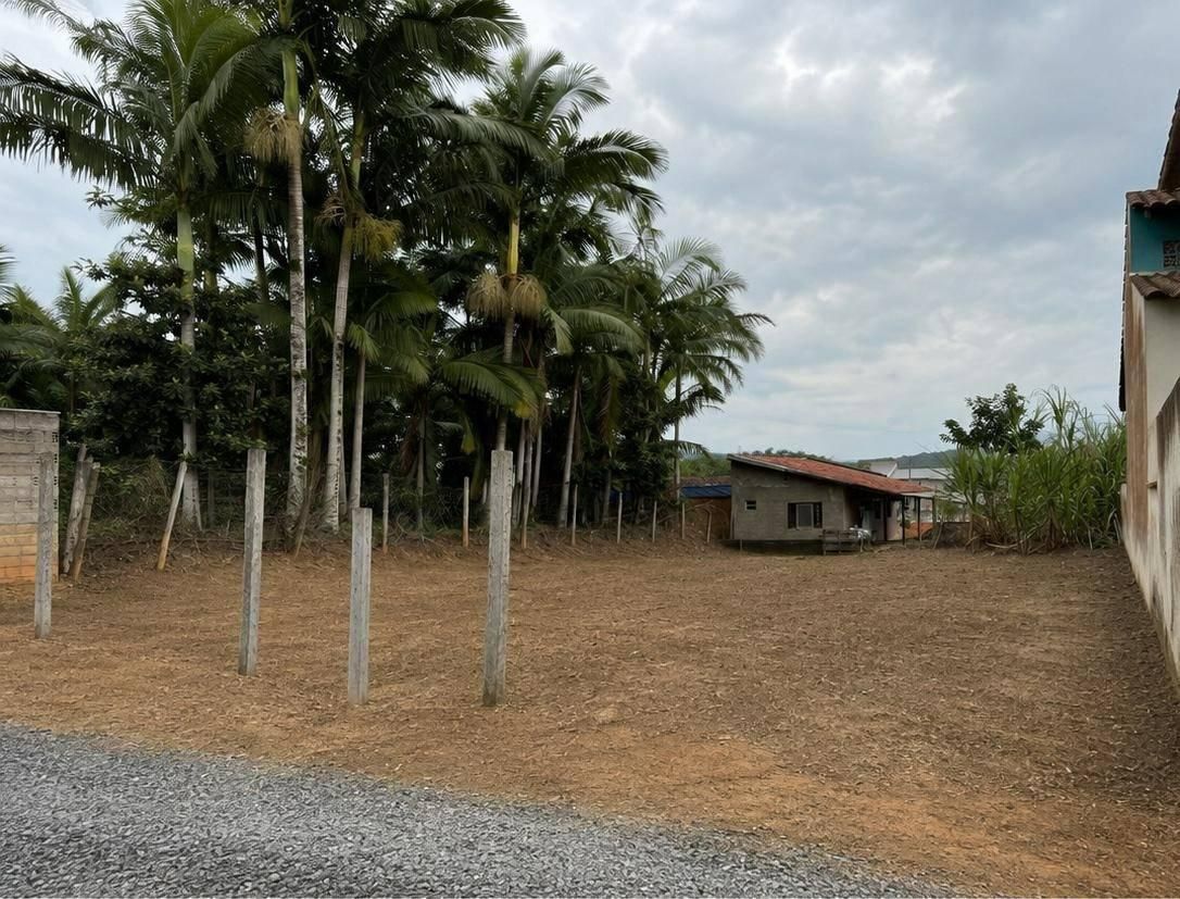 Terreno no Amizade