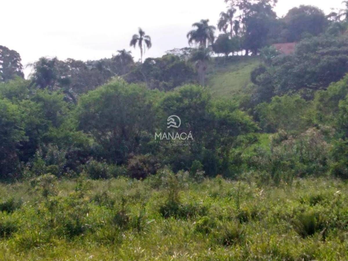 Chácara 70.000m² para venda localizado no bairro Sertãozinho, Barra Velha - SC - Terreno em Sertãozinho, Barra Velha - à venda - Manacá Negócios Imobiliários
