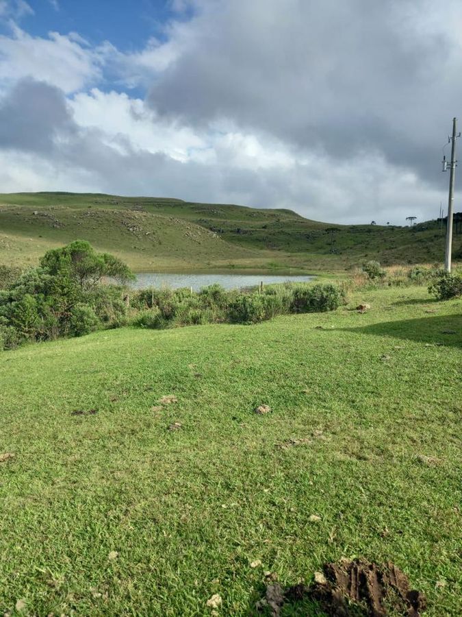 Fazenda, Interior - São José dos Ausentes - Fazenda em Interior, São José dos Ausentes - à venda - Figueiredo e Reginato Gestão Imobiliaria e Comercio LTDA