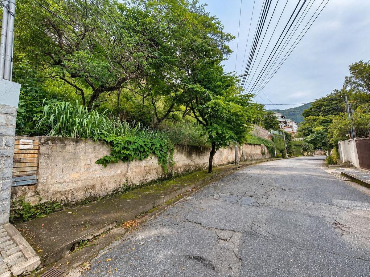 Lote/Terreno à Venda, Mangabeiras - Belo Horizonte - Lote/Terreno em Mangabeiras, Belo Horizonte - à venda - Silvio Ximenes Imobiliária