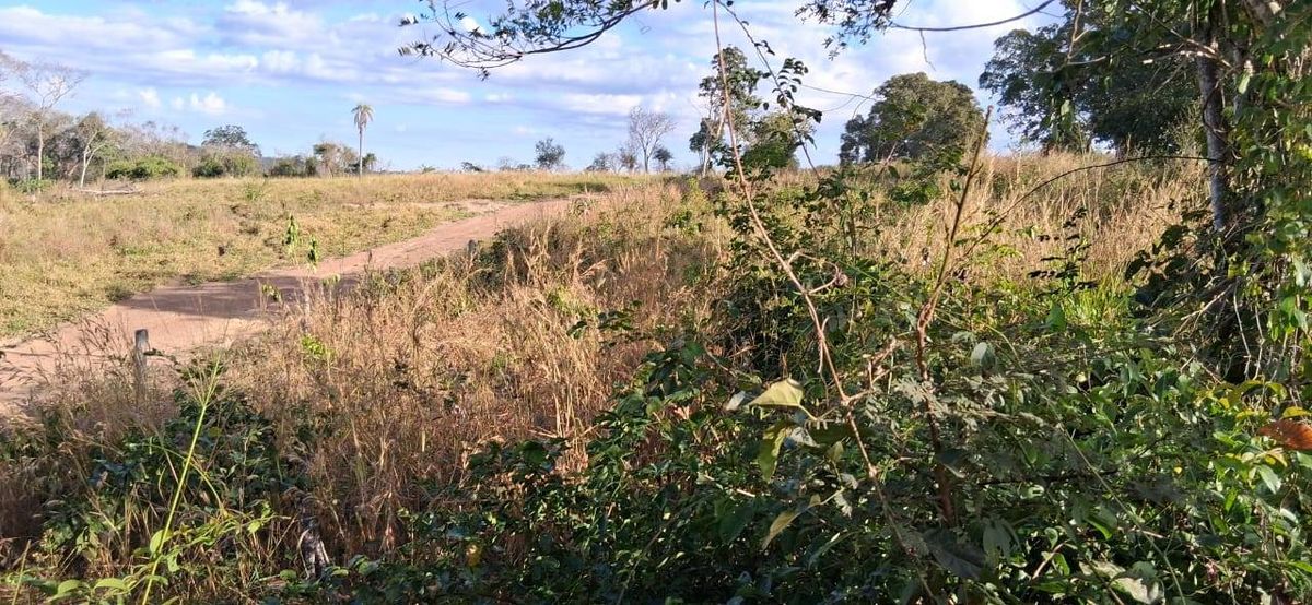 Fazenda de Dupla Aptidão com 34 Alqueires em Baliza - Fazenda em Baliza - à venda - Rural Urbano Imóveis