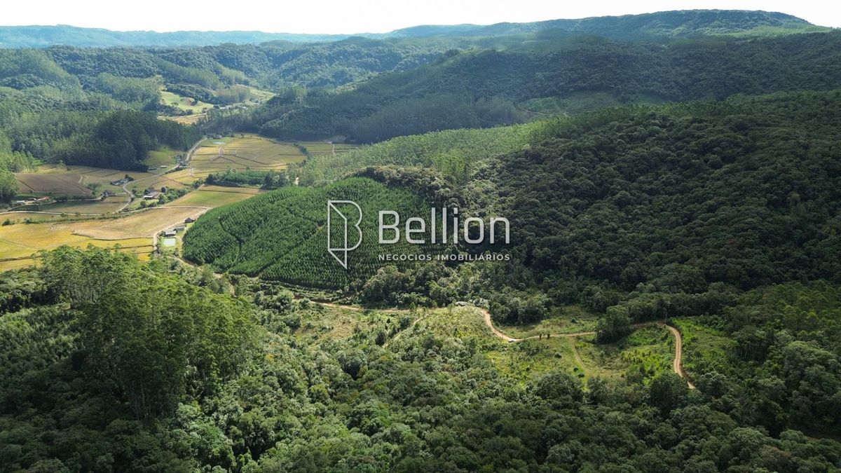 141.367m² com Cachoeira e Potencial para Chalés em Ribeirão Coração, Benedito Novo