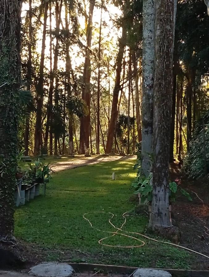 Sítio, 5 quartos, 1 hectares - Foto 31