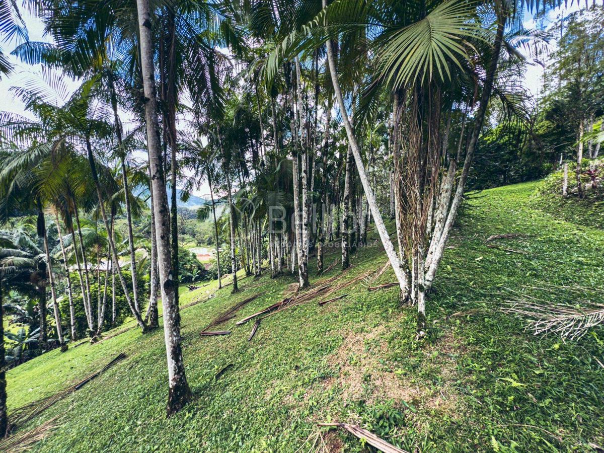 Sítio com casa em madeira de lei e riqueza em água em Rio dos Cedros