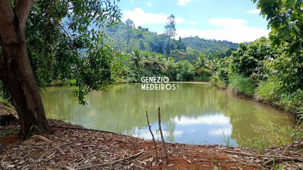 SÍTIO PRODUTIVO À VENDA EM SÃO JOÃO PEQUENO – COLATINA/ES - Chácara em Colatina - à venda - GENEZIO MEDEIROS NUNES NEGOCIOS IMOBILIARIOS