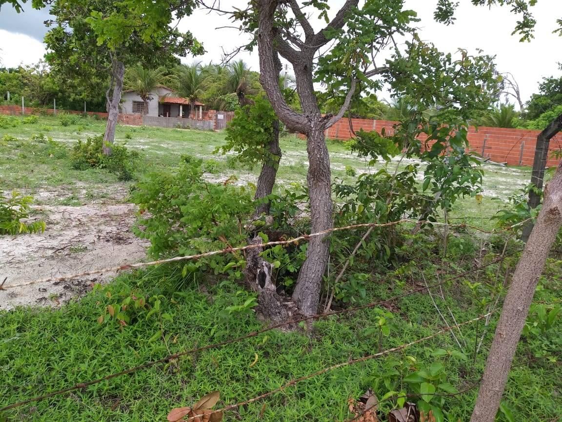 Terreno Tapera - Pau Pombo - 360 m² - R$ 65.000,00 - Lote/Terreno em Aquiraz - à venda - LEVEL IMOVEIS E SERVICOS LTDA