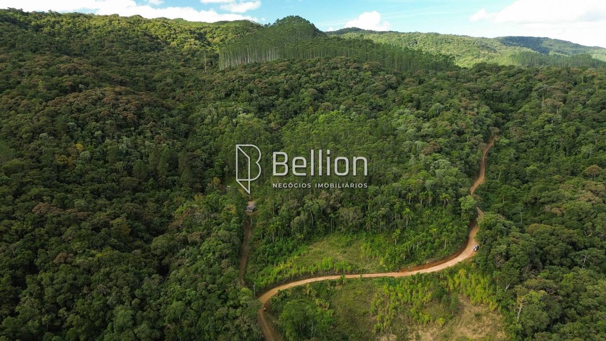 141.367m² com Cachoeira e Potencial para Chalés em Ribeirão Coração, Benedito Novo