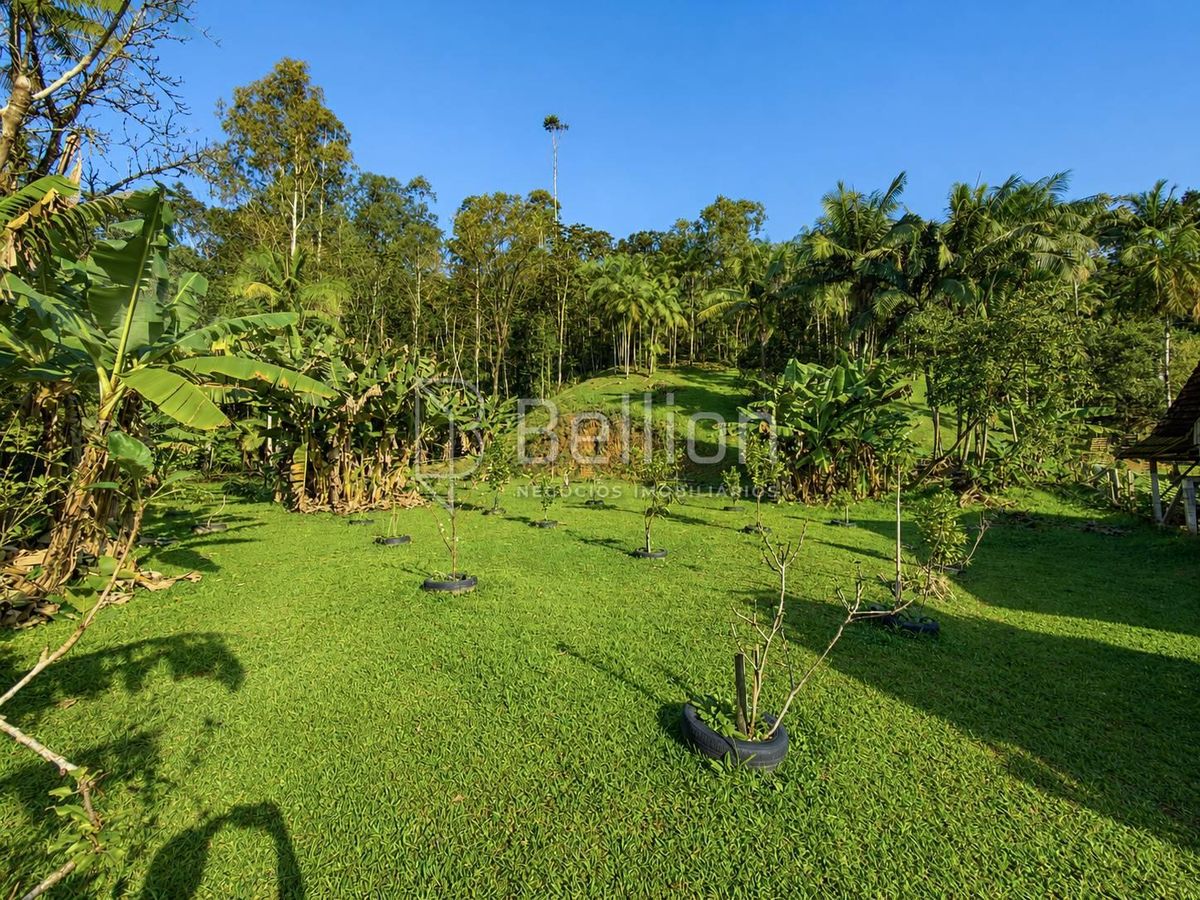 Sítio, 9 quartos, 13 hectares - Foto 7