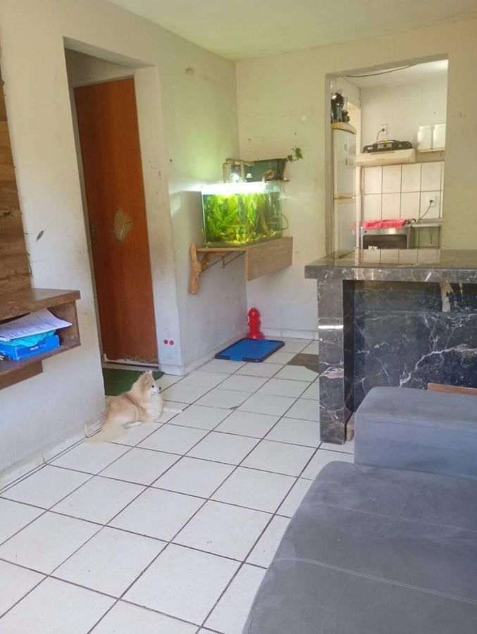 Apartamento com 2 quartos, Novo Horizonte - Itajubá - Apartamento em Novo Horizonte, Itajubá - à venda - Colibri Imóveis Ltda