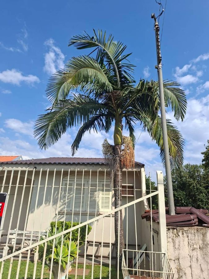 CASA PARA LOCAÇÃO - Casa em Jardim Residencial Sabo, Santo Ângelo - para locação - CLARICE FURTADO FLORES RIGO ME