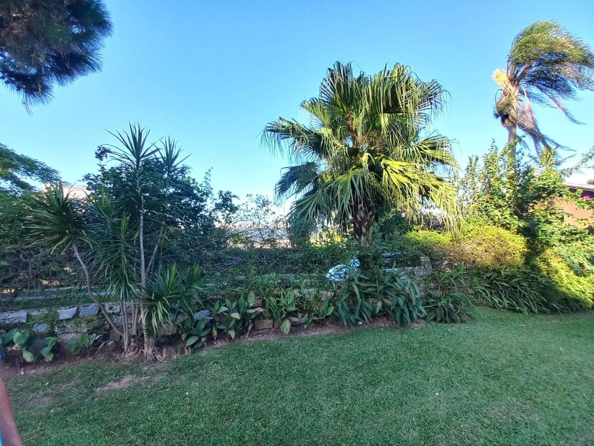 Casa, 4 quartos, 300 m² - Foto 3
