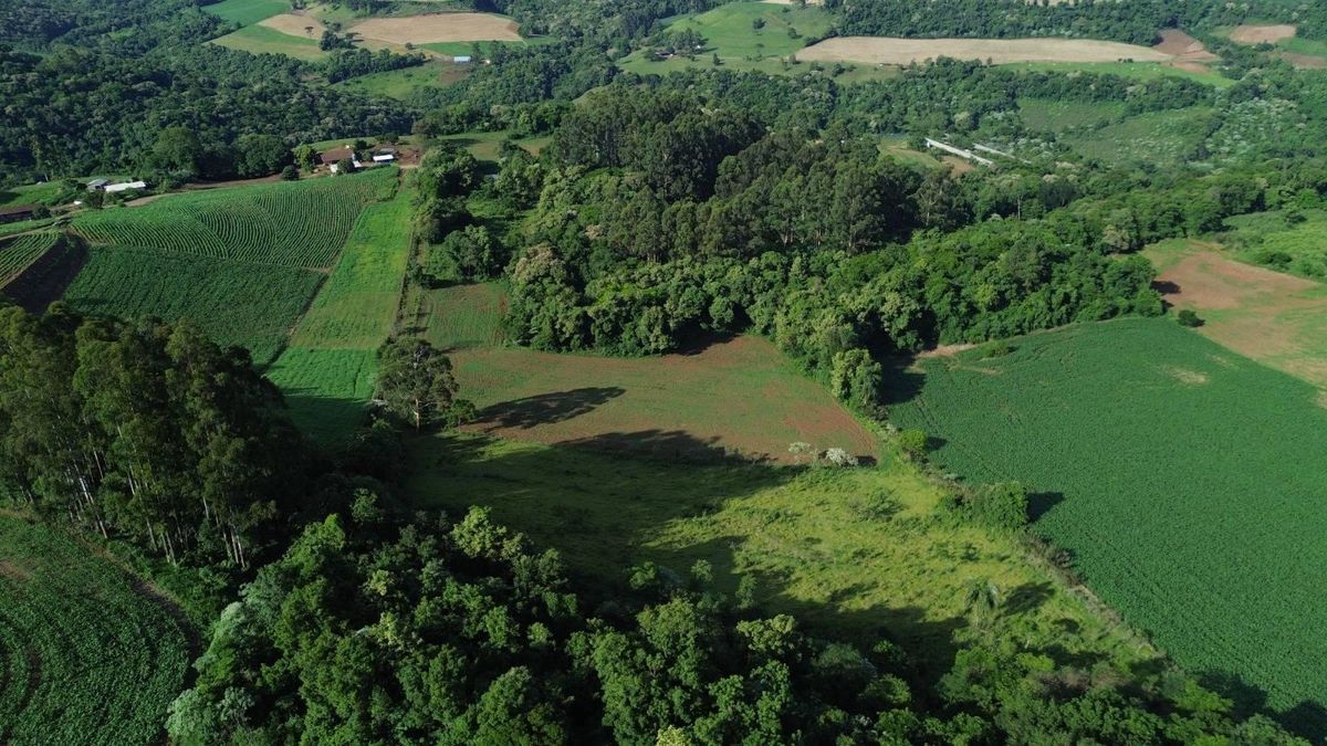 ÁREA DE TERRA
