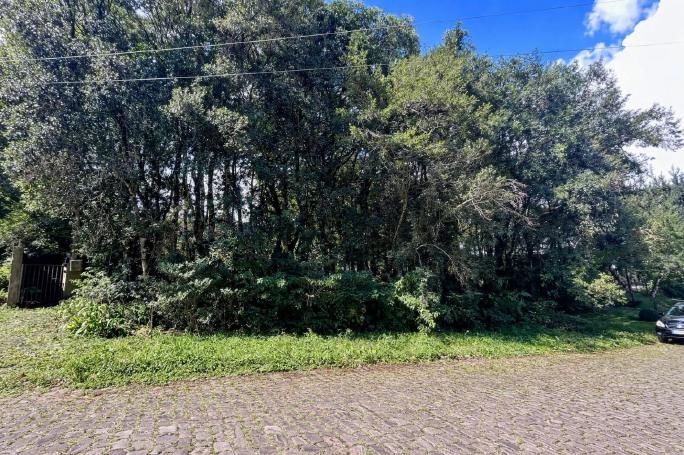 O Lugar Perfeito para Construir o Imóvel dos Seus Sonhos! - Lote/Terreno em Bosque Sinoserra, Canela - à venda - Praxer