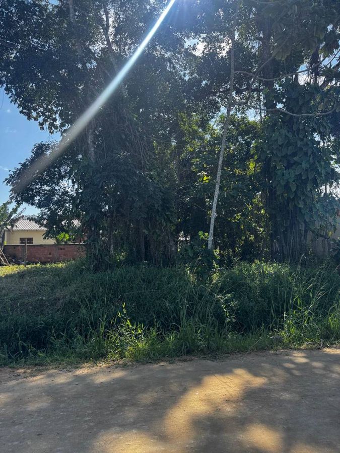 Lote próximo de escola Municipal em Barra Velha - Vende-se - Lote/Terreno em Quinta dos Açorianos, Barra Velha - à venda - Manacá Negócios Imobiliários