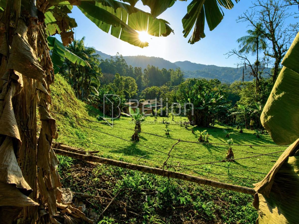 Sítio, 9 quartos, 13 hectares - Foto 12