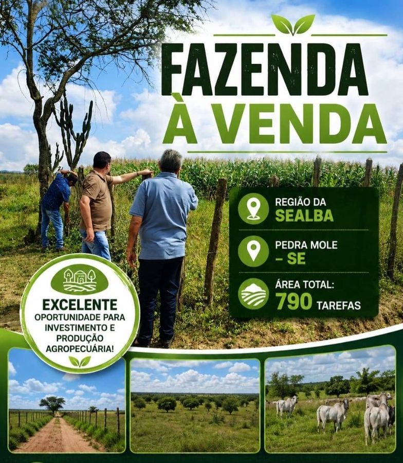 FAZENDA PEDRA MOLE/SE - Fazenda em Centro, Pedra Mole - à venda - VIVVA SOLUÇÕES IMOBILIÁRIAS LTDA