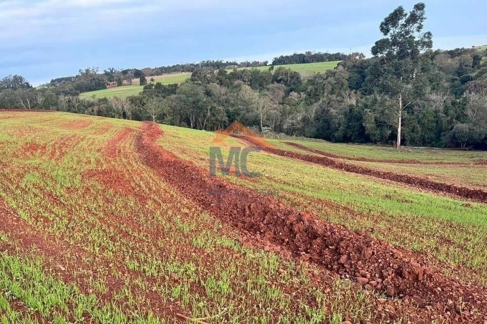 ÁREA RURAL EM LAJEADO BONITO DE 2 A 4 HA - Terreno em Santa Rosa - à venda - MC Negócios Imobiliários LTDA