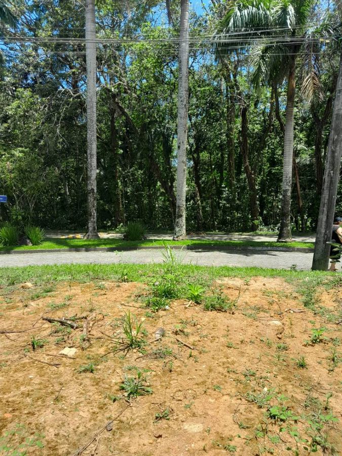 Terreno-Condomínio Park Imperial-Massaguaçu-Caraguatatuba-Sp - Lote/Terreno em Park Imperial, Caraguatatuba - à venda - Vilela Imóveis