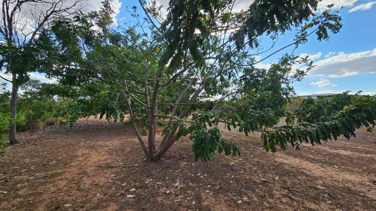 Terreno em