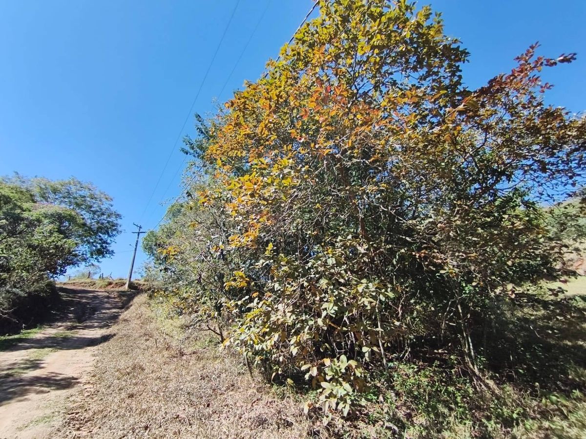TERRENO DE 5.000 M² – TERRAS DE SANTA MARIA - Lote/Terreno em Apotribu, Itu - à venda - Janaina G A Marques Imóveis - ME