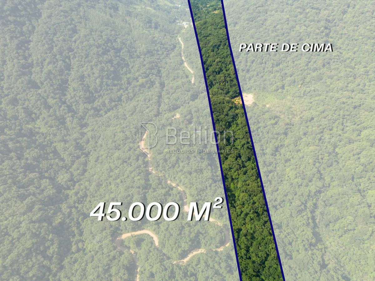 Terreno à venda em Rio dos Cedros – 45.000 m² com potencial para sítio ou cabanas