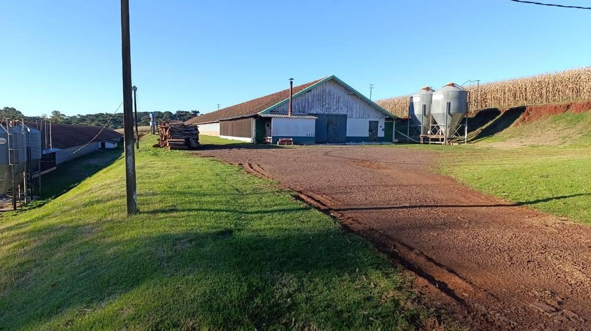 LINDA GRANJA COM 2 AVIÁRIOS EM CORBÉLIA- PR - Sítio em Corbélia - à venda - Terrenos Cascavel LTDA