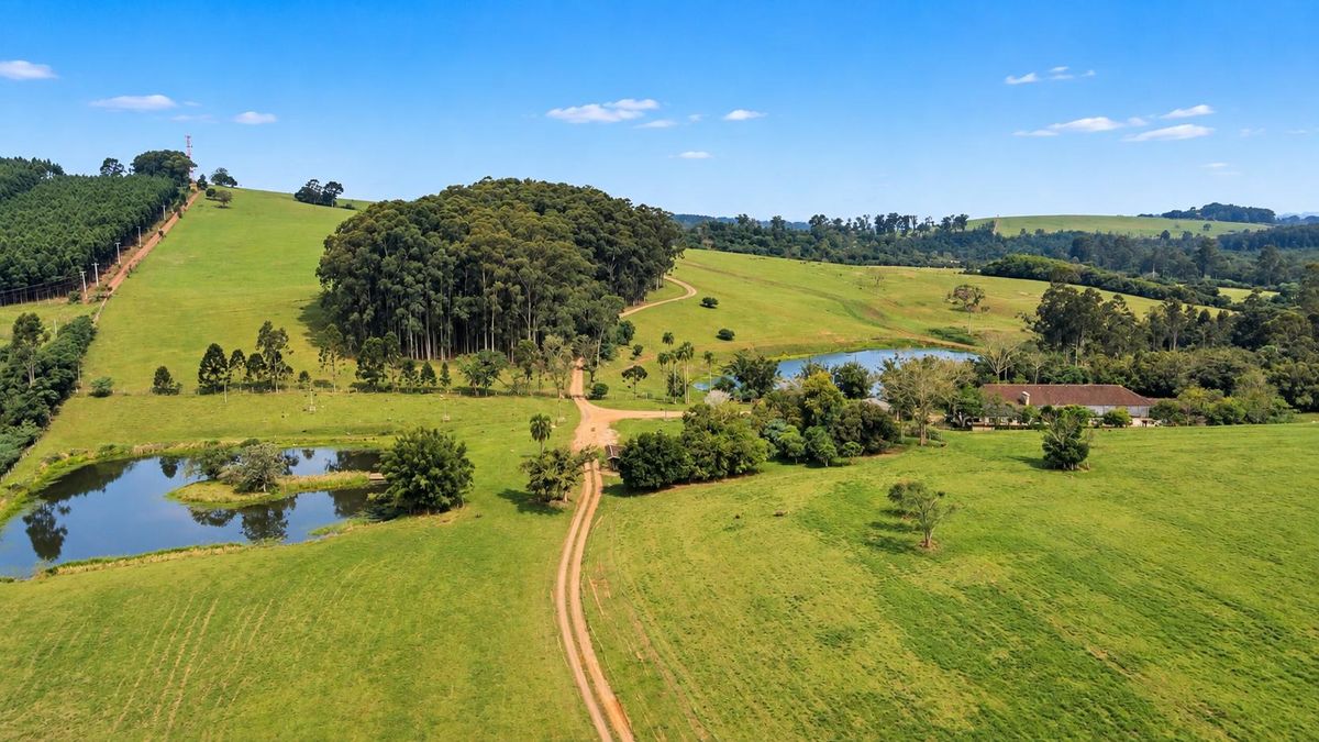 Fazenda à venda com 240hectares, Boa Vista - Portão - Fazenda em Boa Vista, Portão - UNICA NEGOCIOS IMOBILIARIOS LTDA