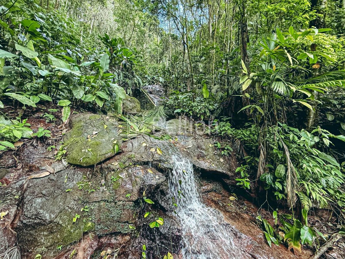 Sítio, 9 quartos, 13 hectares - Foto 47