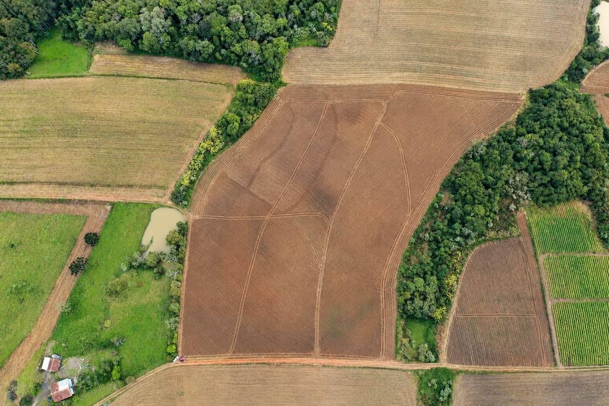 Terreno Rural - Venda - 5,3 hectares - Investimento - Aurora - Terreno Rural em Aurora - à venda - Cifra Imóveis e Empreendimentos Imobiliários
