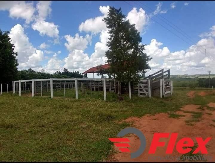 Sítio - Marília - Sítio em Marília - à venda - FLEX CONSULTORIA IMOBILIÁRIA LTDA