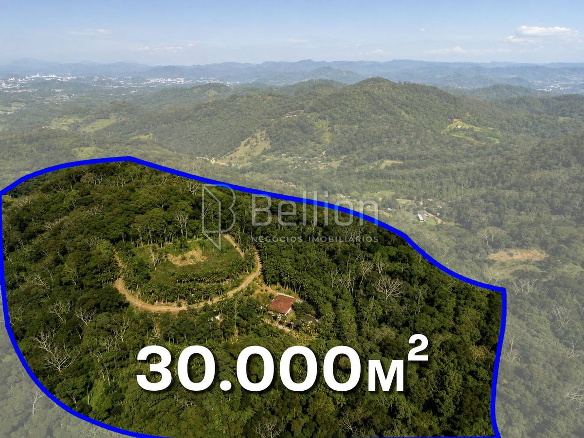Sítio, 4 quartos, 200 m² - Foto 2