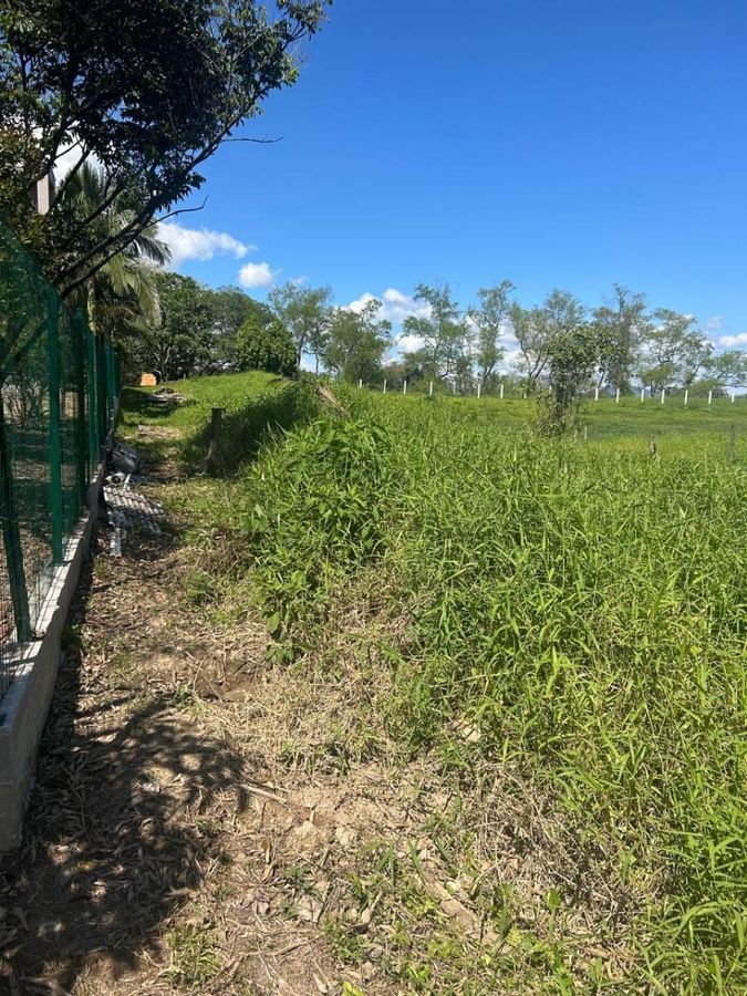 Lote/Terreno à Venda, Lagoa - Gaspar - Lote/Terreno em Lagoa, Gaspar - à venda - Tomio Imoveis Ltda