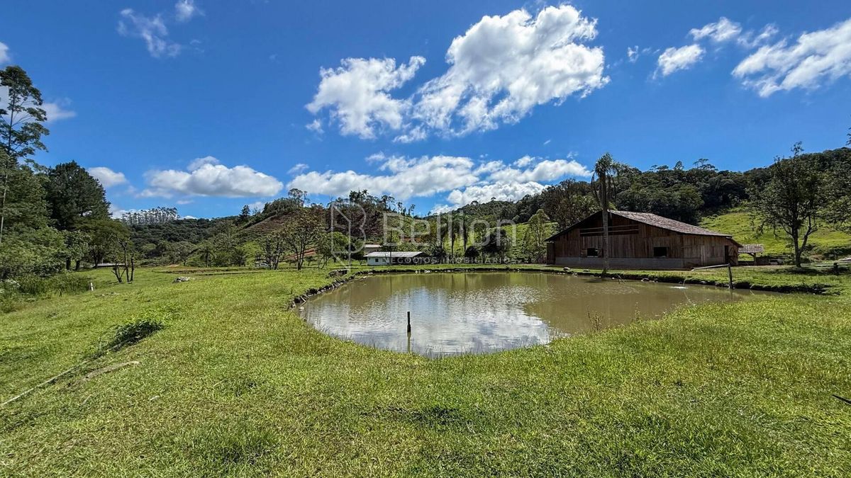 Sítio completo com lagoas, ribeirão e nascente em Rio dos Cedros