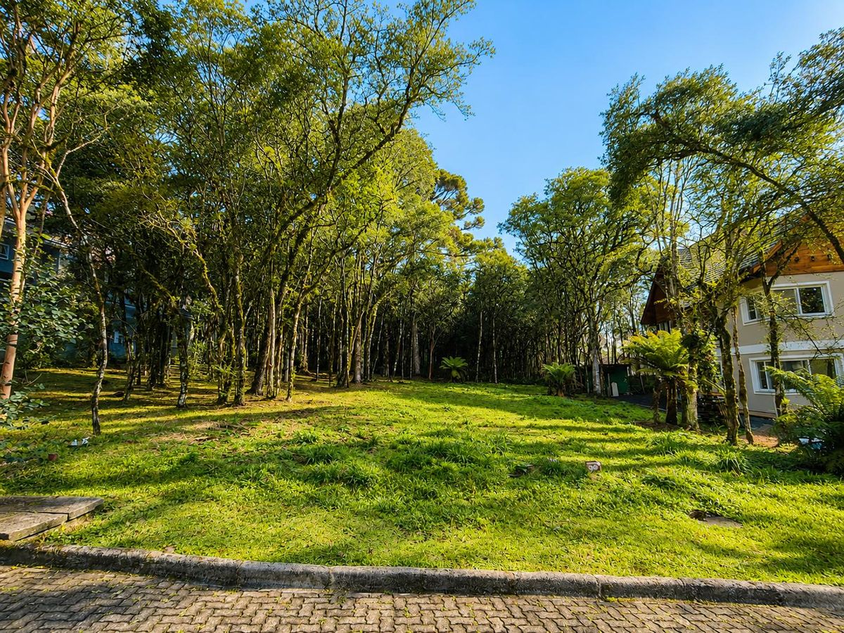 Lote/Terreno, Pinheiro Grosso - Canela - Lote/Terreno em Pinheiro Grosso, Canela - à venda - Praxer