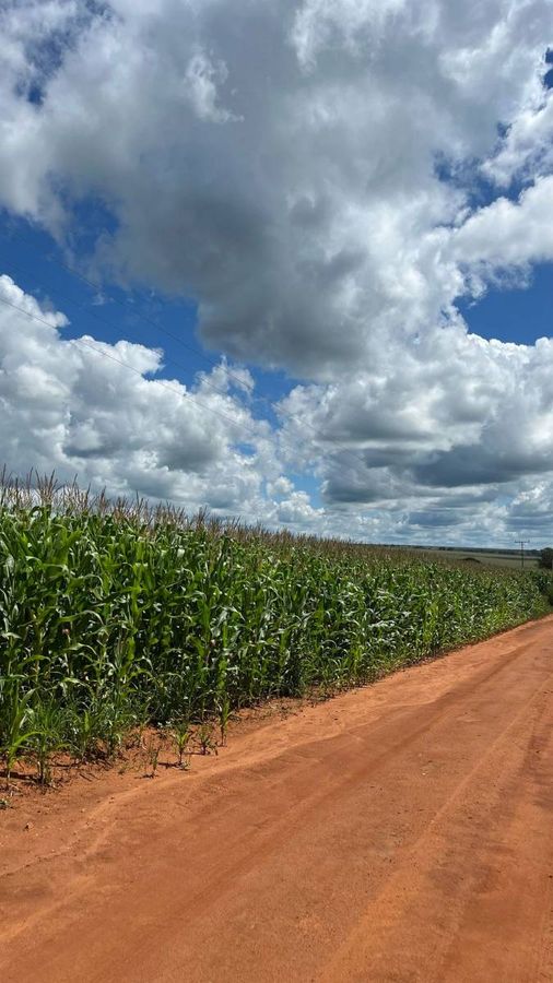 Fazenda - 156 alqueires - Fazenda em Rio Verde - à venda - Rural Urbano Imóveis